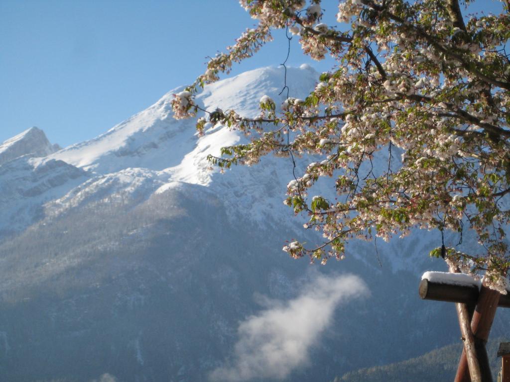 Hotel-Gasthof Nutzkaser Ramsau bei Berchtesgaden Buitenkant foto